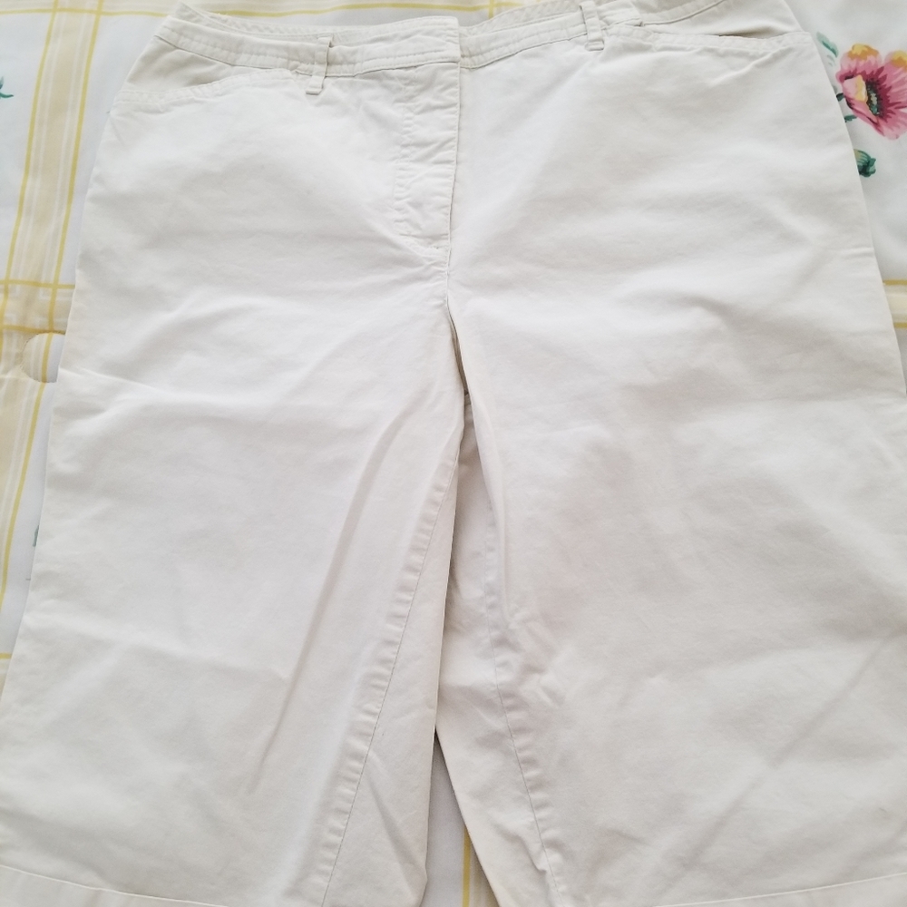 Very Gently A.N.A (JC Penney Brand) Beige Shorts